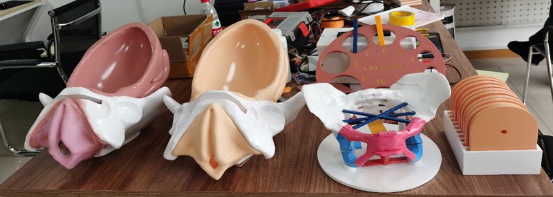 2021年2月，重庆瑞佳达科技有限公司与重庆三峡医药高等专科学校产教融合校企合作研发定制的“女性分娩骨盆”教具模型在参赛2021年全国职业院校技能大赛教学能力比赛高职组专业技能课程一组比赛中的参赛作品。